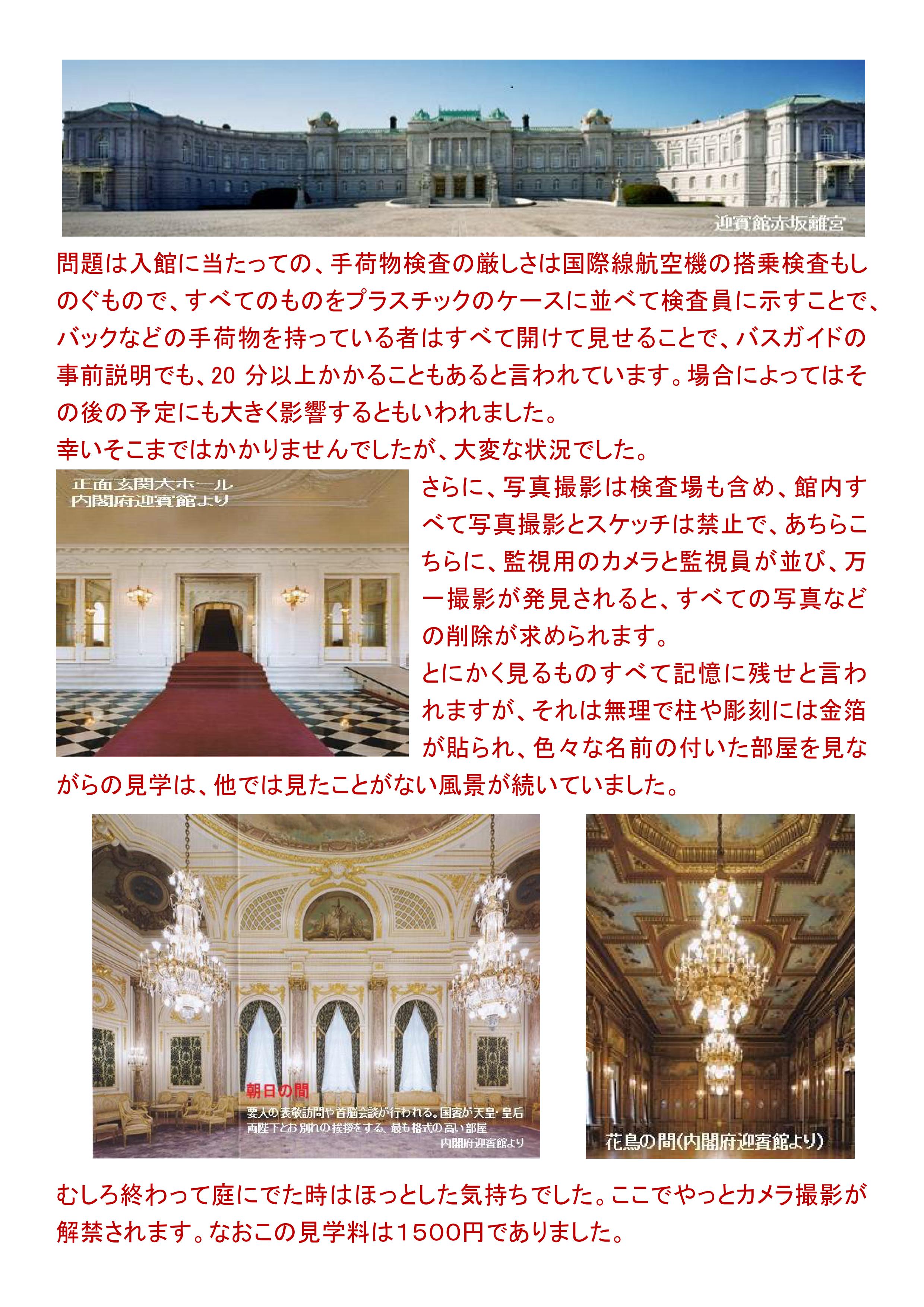 マンドリン2025年11月